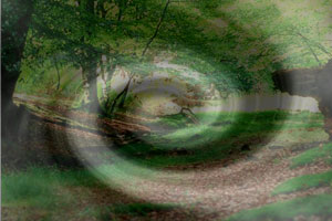 Black window forming