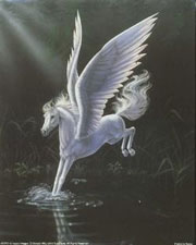 Pegasus landing