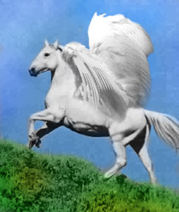 Pegasus